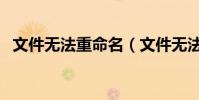 文件無法重命名(文件無法重命名為什么)