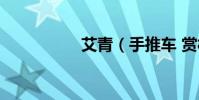 艾青(手推車 賞析急)