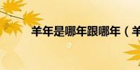 羊年是哪年跟哪年(羊年是哪年)