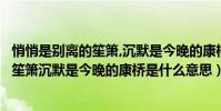 悄悄是別離的笙簫,沉默是今晚的康橋的意思(悄悄是別離的笙簫沉默是今晚的康橋是什么意思)