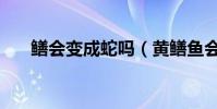鱔會變成蛇嗎(黃鱔魚會不會變成蛇)