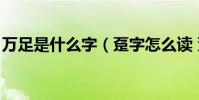 萬足是什么字(躉字怎么讀 躉交是什么意思)