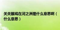 關關雎鳩在河之洲是什么意思啊(“關關雎鳩在河之洲”是什么意思)