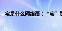 宅是什么網絡語(“宅”是什么意思啊?)