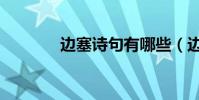 邊塞詩句有哪些(邊塞詩句)