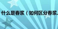 什么是春漿(如何區分春漿、秋漿和提取漿)