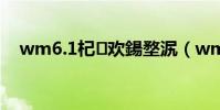 wm6.1杞歡鍚堥泦(wm6 1軟件下載)