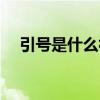 引號是什么符號圖片（引號是什么意思）