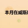 本月在威斯康星州立美術館舉辦三場展覽