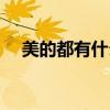 美的都有什么家電（美的都有什么產品）