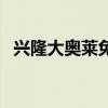 興隆大奧萊免費停車幾小時（興隆大奧萊）