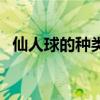 仙人球的種類名稱（仙人球的種類有哪些）
