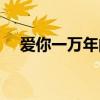 愛你一萬年的歌詞（愛你一萬年的歌詞）