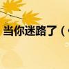 當你迷路了（你迷了路我丟了心是什么意思）