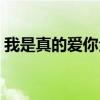 我是真的愛你全網（我是真的愛你全部歌詞）