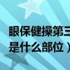 眼保健操第三節是什么部位（眼保健操第三節是什么部位）