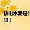 核電水泥是什么（潤豐水泥有這種類型的水泥嗎）