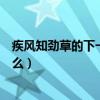 疾風知勁草的下一句諺語是什么（疾風知勁草的下一句是什么）