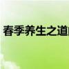 春季養生之道的句子（春季養生之道是什么）