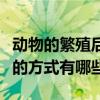 動物的繁殖后代的方式有哪些（動物繁殖后代的方式有哪些）