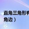 直角三角形有幾個垂足（直角三角形有幾個直角邊）