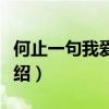 何止一句我愛你歌詞（何止一句我愛你歌詞介紹）