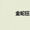 金蛇狂舞笛子獨奏（金蛇醉心）