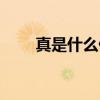 真是什么偏旁（真是什么偏旁部首）