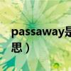passaway是什么翻譯（passaway是什么意思）