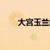 大宮玉蘭曲秋姬（大宮玉蘭曲結局）
