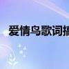 愛情鳥歌詞搞笑調侃句（愛情鳥歌詞全文）
