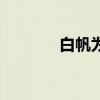 白帆為什么離婚（白帆歌詞）