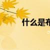什么是布拉吉（什么是布朗運動）