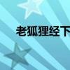 老狐貍經下載pdf（老狐貍經在線閱讀）