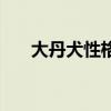 大丹犬性格有什么特點（大丹犬性格）