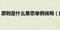 原則是什么意思舉例說明(原則是什么意思)