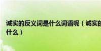 誠實的反義詞是什么詞語呢(誠實的反義詞是什么反義詞是什么)