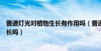 普通燈光對植物生長有作用嗎(普通燈泡光能夠促進植物生長嗎)