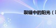 裂縫中的陽光(裂風)