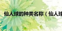 仙人球的種類名稱(仙人球的種類有哪些)