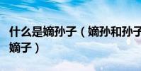 什么是嫡孫子(嫡孫和孫子有什么區別什么叫嫡子)