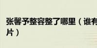張馨予整容整了哪里(誰有張馨予整容前后照片)