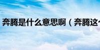 奔騰是什么意思啊(奔騰這個詞是什么意思)