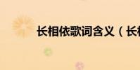 長相依歌詞含義(長相依歌詞)