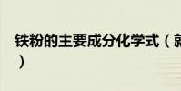 鐵粉的主要成分化學式(就是鐵粉的化學式..)
