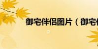 御宅伴侶圖片(御宅伴侶操作)