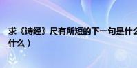 求《詩經》尺有所短的下一句是什么(他山之石的下一句是什么)