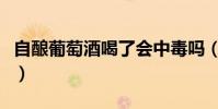 自釀葡萄酒喝了會中毒嗎(怎么過濾有害物質)