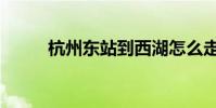杭州東站到西湖怎么走(有多遠)
