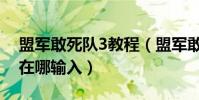 盟軍敢死隊3教程(盟軍敢死隊3中文版秘籍在哪輸入)